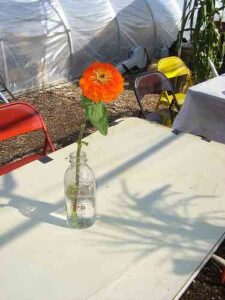 Re-Think Your Decor: Vintage Glass Bottles as Instant Bud Vases Image